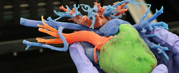 close up of hands holding a 3D printed heart that are the colors green, orange and blue. 