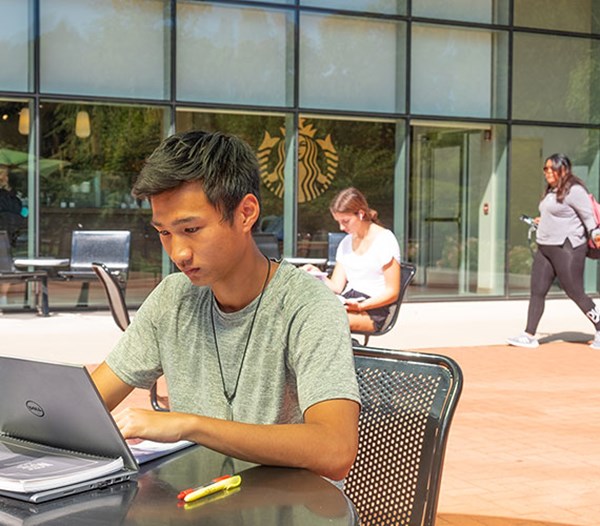 Majors, Degrees and Programs | Michigan State University
