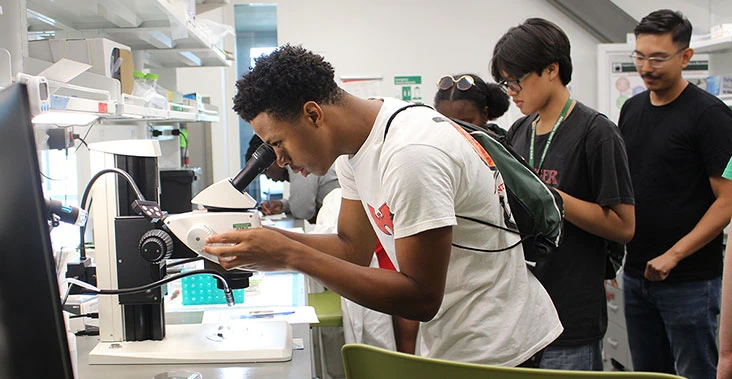 Black and asian students looking through microscopes in a lab during the summer program