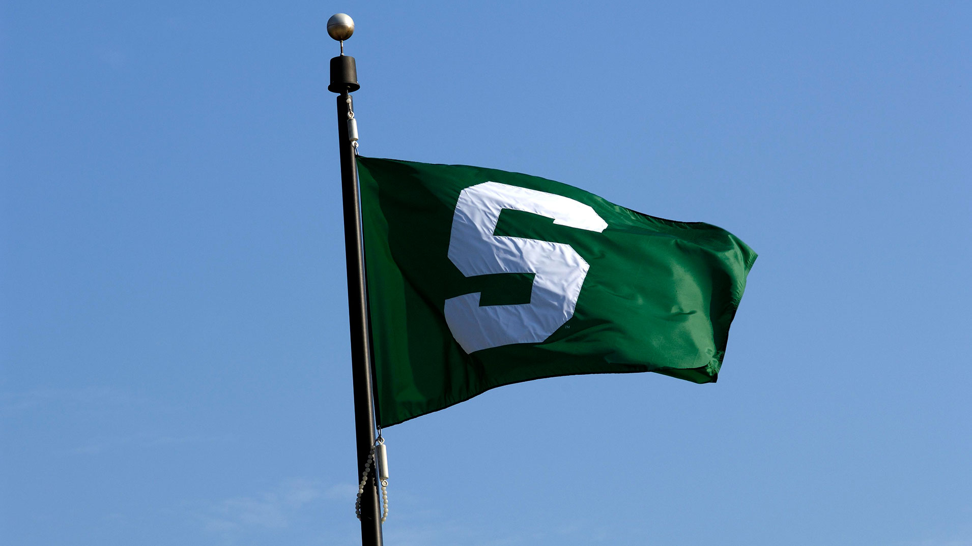 spartan flag