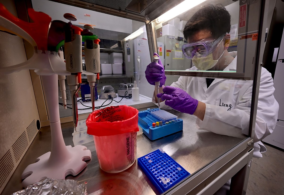 Liang Zhao seeks to find pathogen gene markers, which can then be reported to health departments. (Photo by Dale Young, courtesy of Detroit News.)