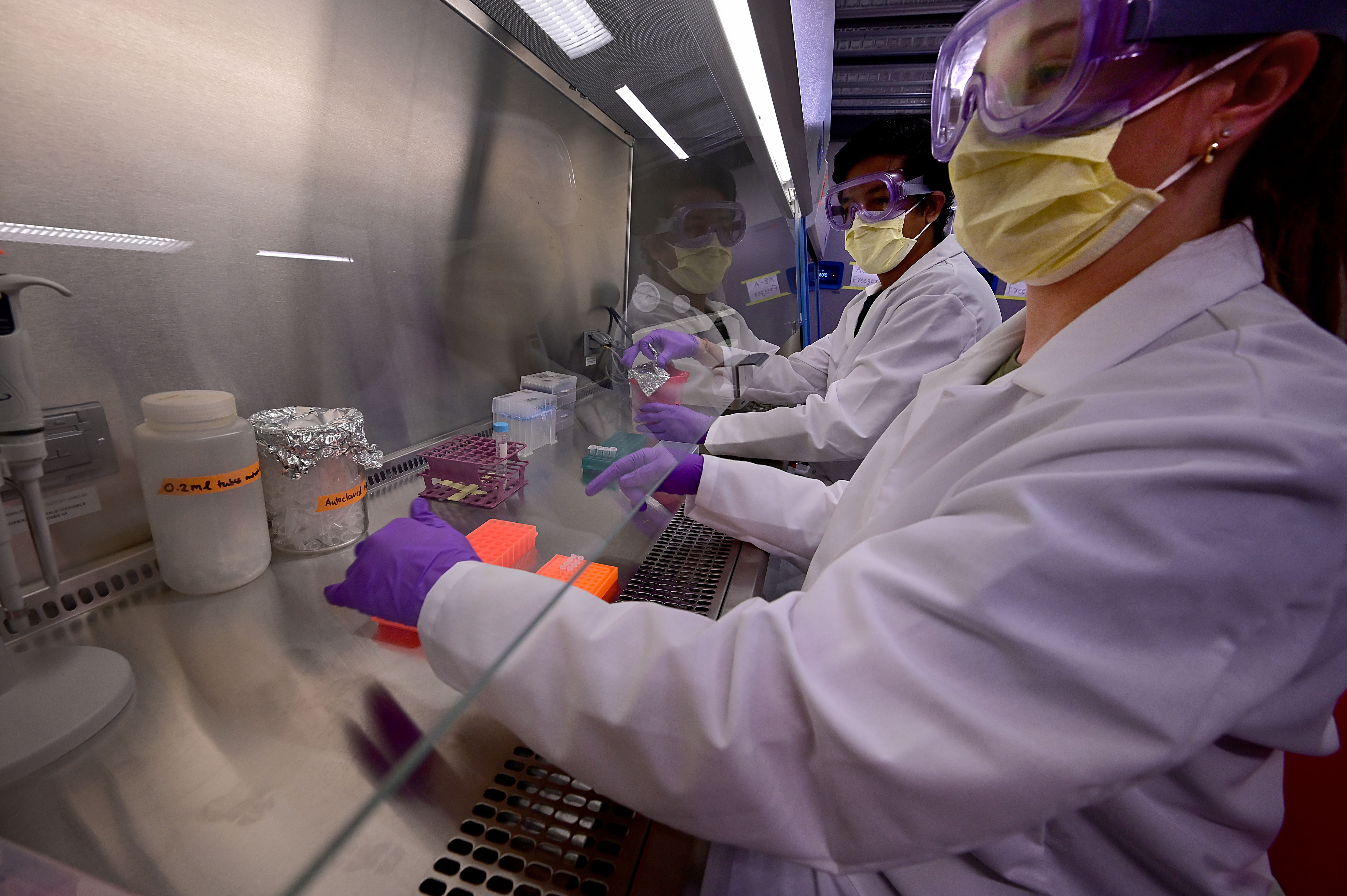 Maddie Spooner and Brijen Miyani conduct RNA extraction. (Photo by Dale Young, courtesy of Detroit News.)