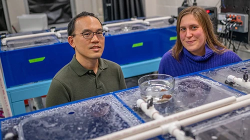 Kevin Liu and Elizabeth Heath-Heckman stand in the Heath-Heckman Symbiosis Lab. Credit: Derrick L. Turner
