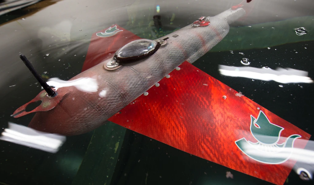 Designed and built by Xiaobo Tan and his team, GRACE -- the Gliding Robot ACE -- is equipped with an array of sensors that not only allow it to travel autonomously, but also measure water temperature, quality and other pertinent facts.