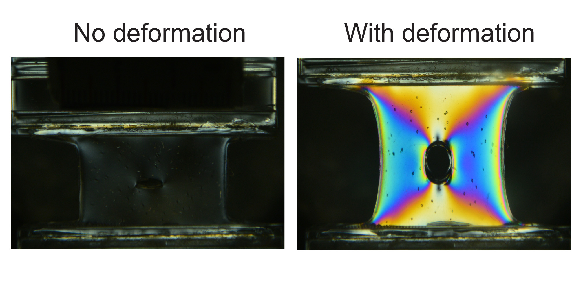 MSU researchers are integrating photoelastic gel for vision-based tactile gel-robots. (Courtesy Jiabin Liu.)
