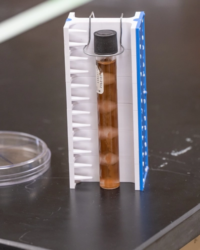 See the glycan-coated magnetic particles separated from the water sample using a magnet. Credit: Derrick L. Turner/Michigan State University