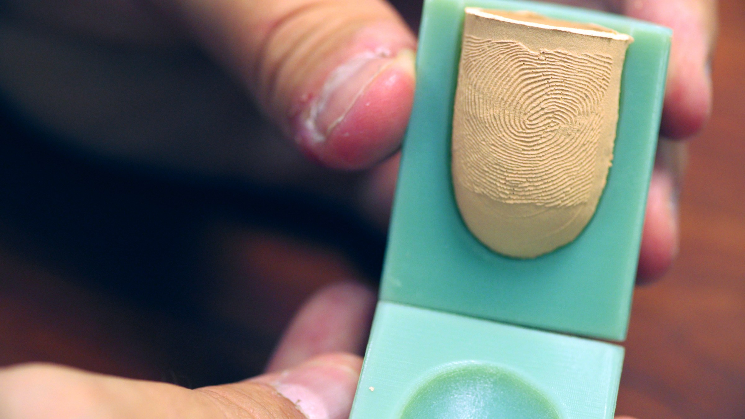 University Distinguished Professor Anil Jain and doctoral student Joshua Engelsma designed and created a fake finger for the first time that contains multiple key properties of human skin.