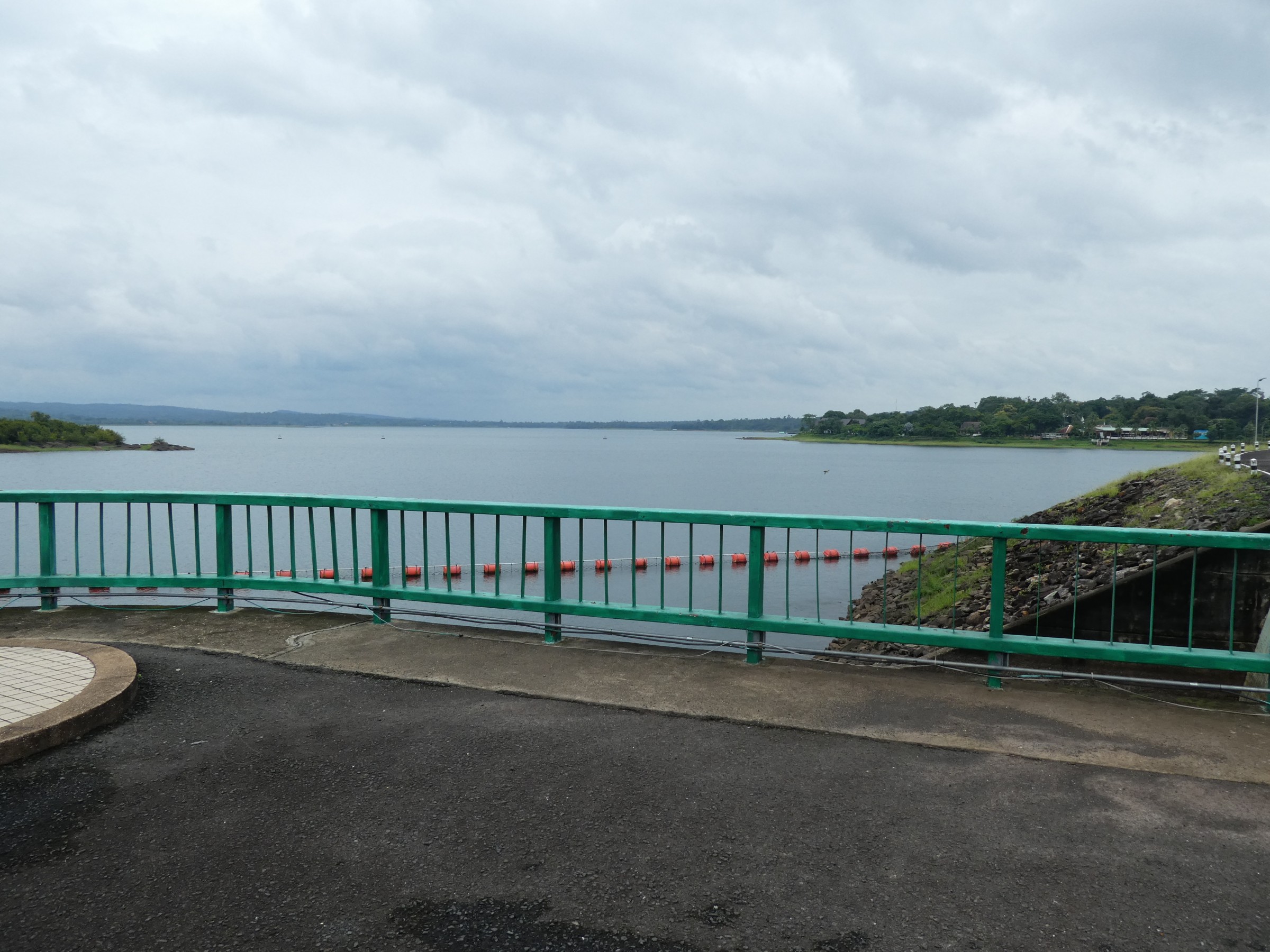 A computer model of hydrology and dam regulation created by MSU's Yadu Pokhrel has successfully been used in the western U.S. and the Amazon River Basin in Brazil and now will be used in southeast Asia.