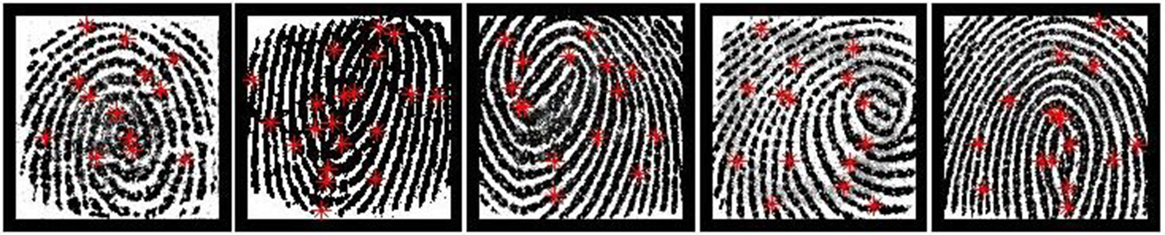 Research at MSU and NYU found there is a much greater chance of falsely matching a partial print than a full one.