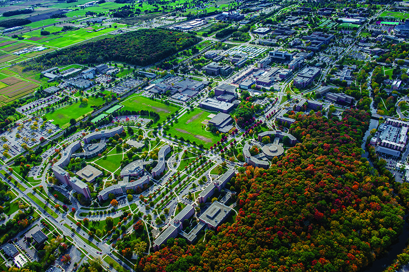 Fast Forward: MSU is helping shape the future of transportation.