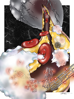 Biomedical engineer Bryan Smith's research is featured in Nature Nanotechnology.