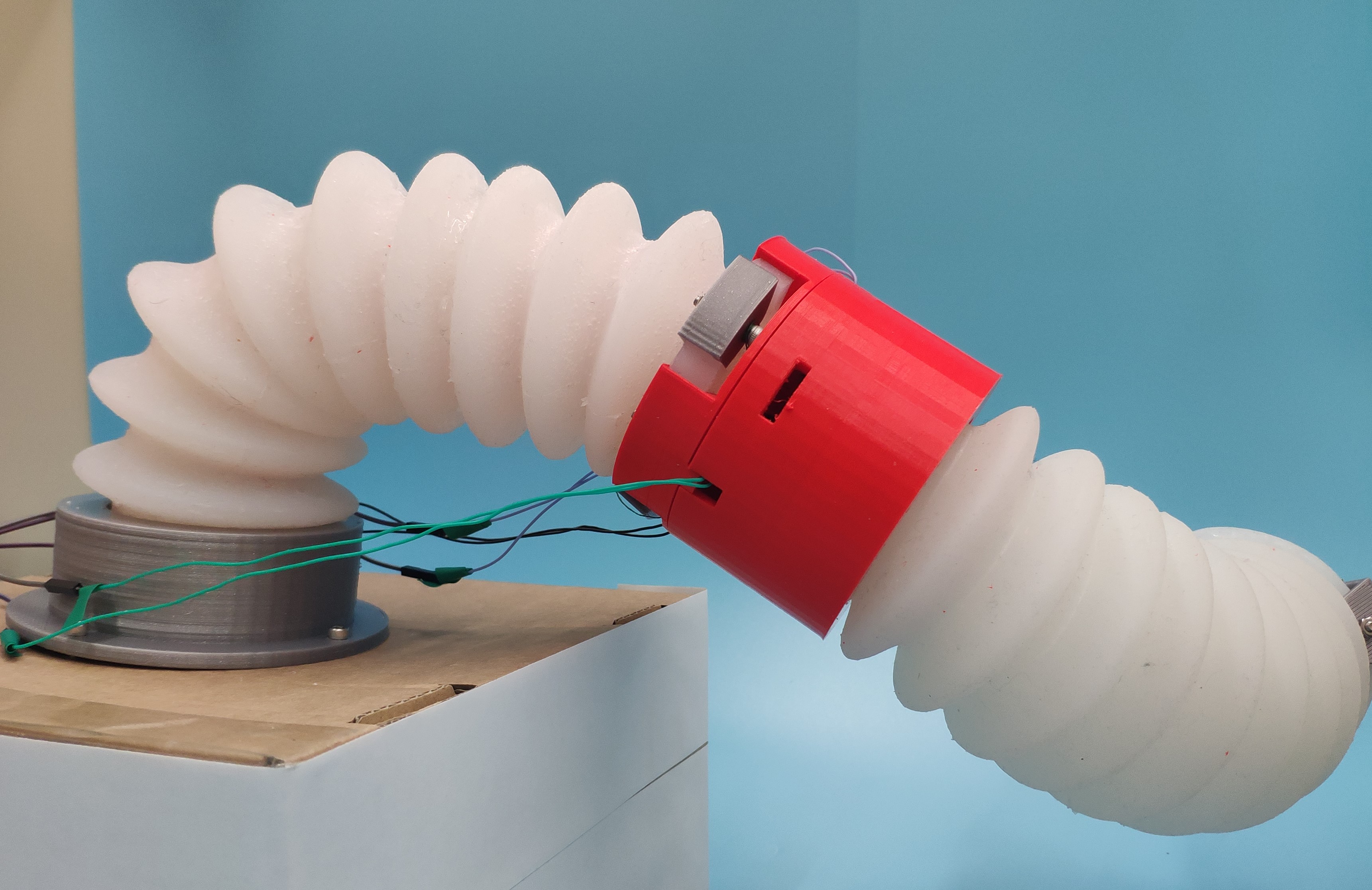 A robotic soft arm is built from two flexible white segments connected at a red elbow. Courtesy of Changyong Cao.