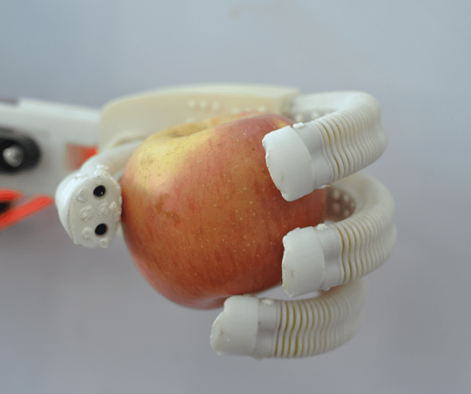 A robotic hand made from soft materials grips an apple. Courtesy of Changyong Cao.