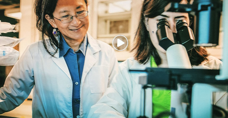 University Distinguished Professor Christina Chan