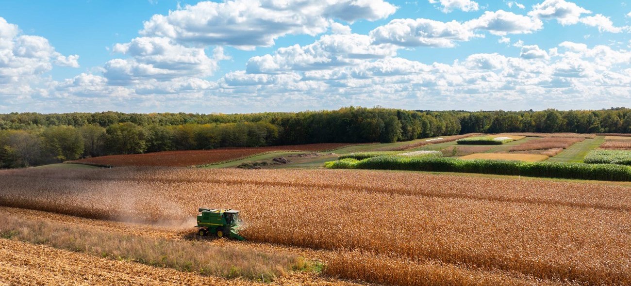 A tractor drives through a field of gold corn stalks with dust flying behind it as a blue sky filled with billowing clowds fills the background