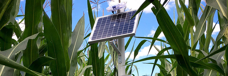 Low-Cost Monitoring System (LOCOMOS) in a field