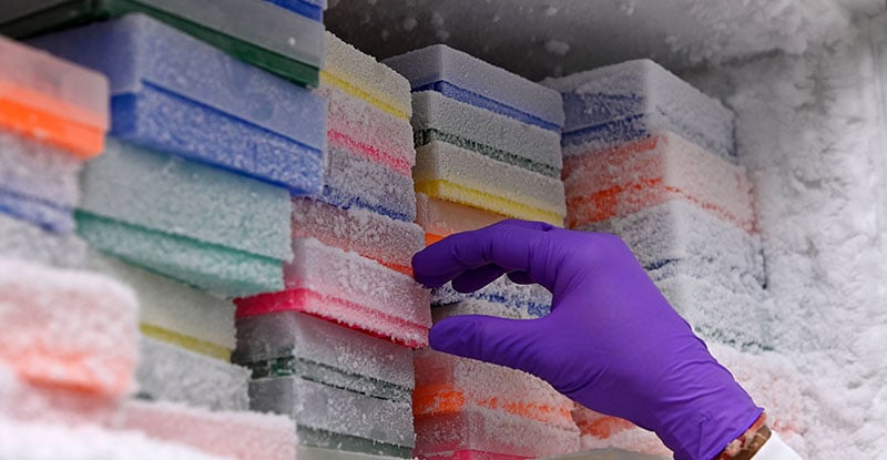 Person reaching for sample box in freezer