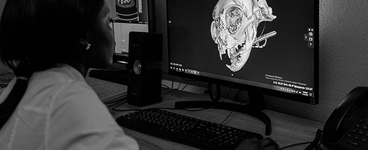 Student working with 3D modeling software