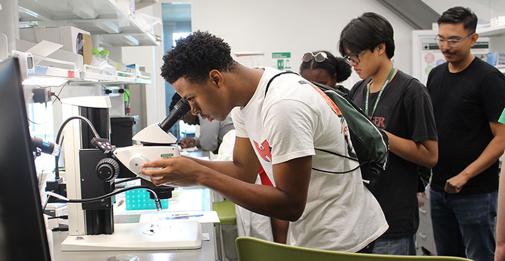 Students looking through microscopes in a lab during a summer program