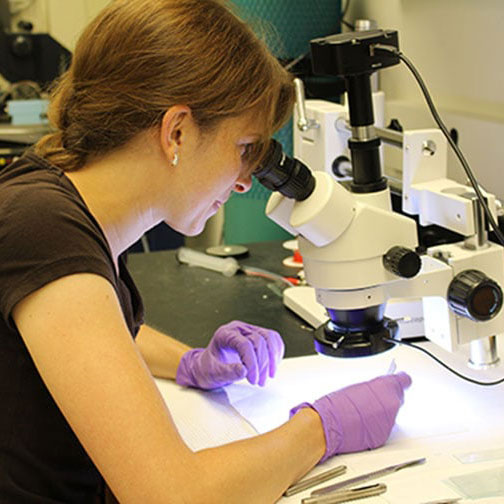 Undergraduate Admissions 