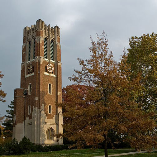 Michigan State University