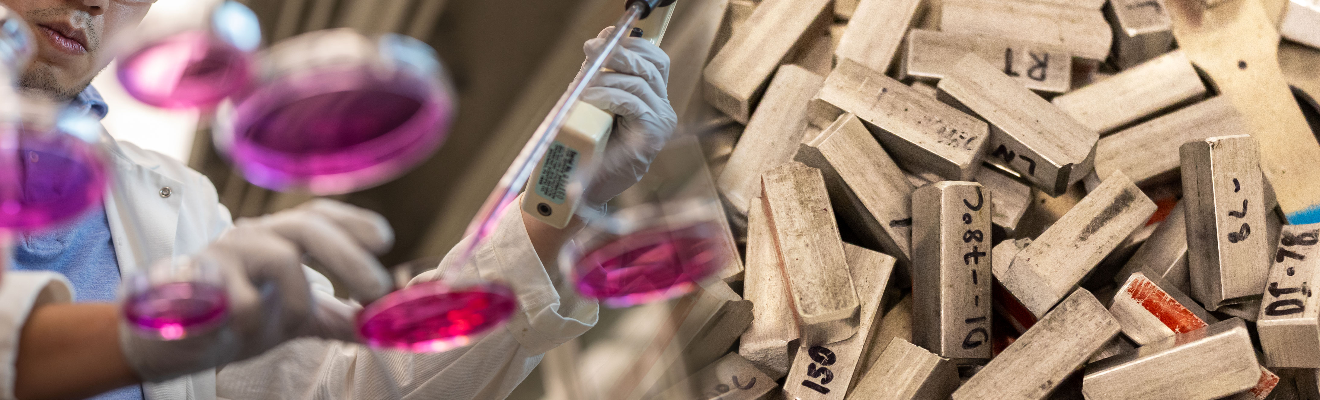 Petri plates along with wooden blocks