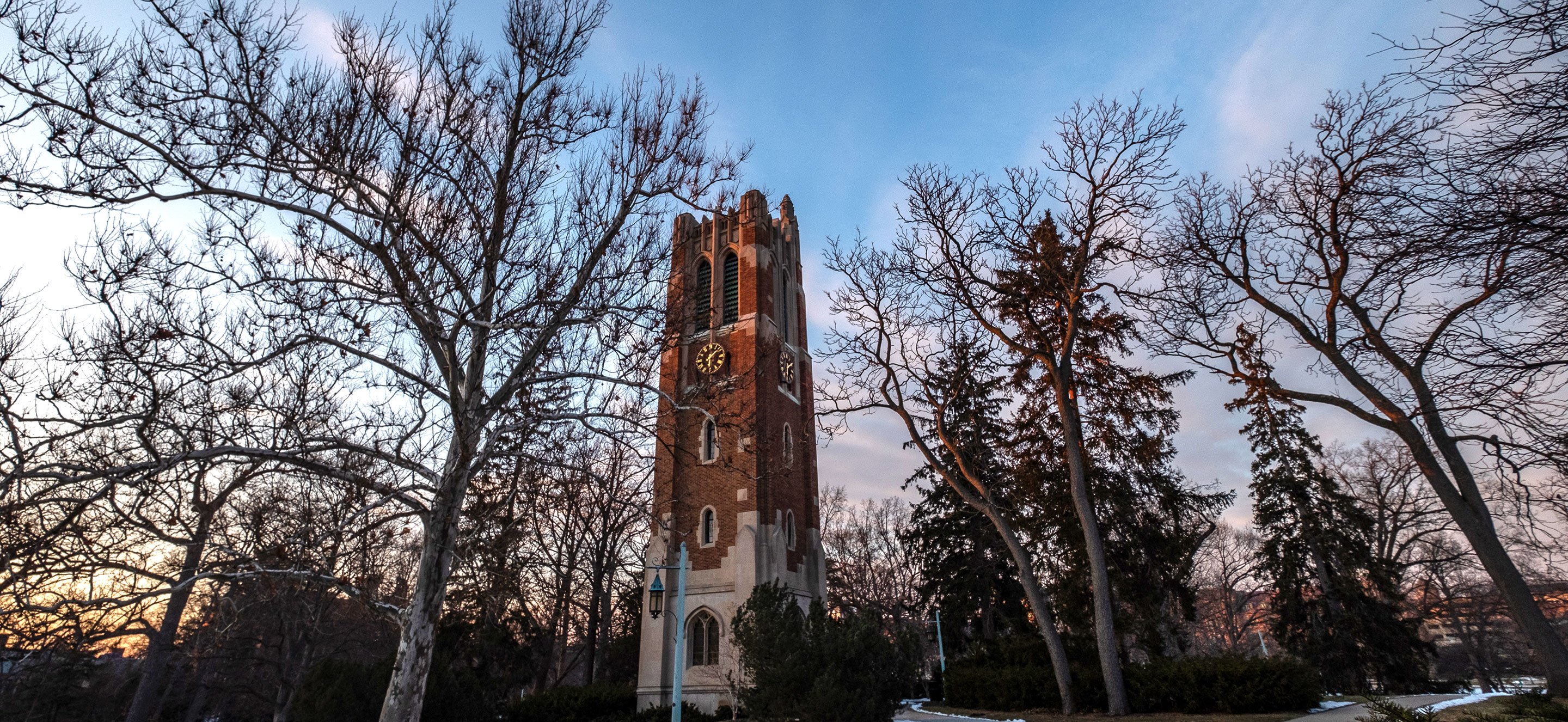 Beaumont Tower surrounded by trees on the Michigan State University campus