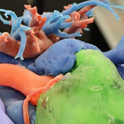Close-up of hands holding a 3D printed heart that are the colors green, orange and blue