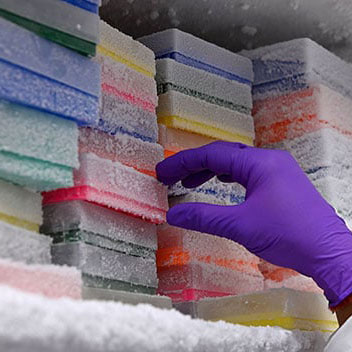 Slide boxes in freezer