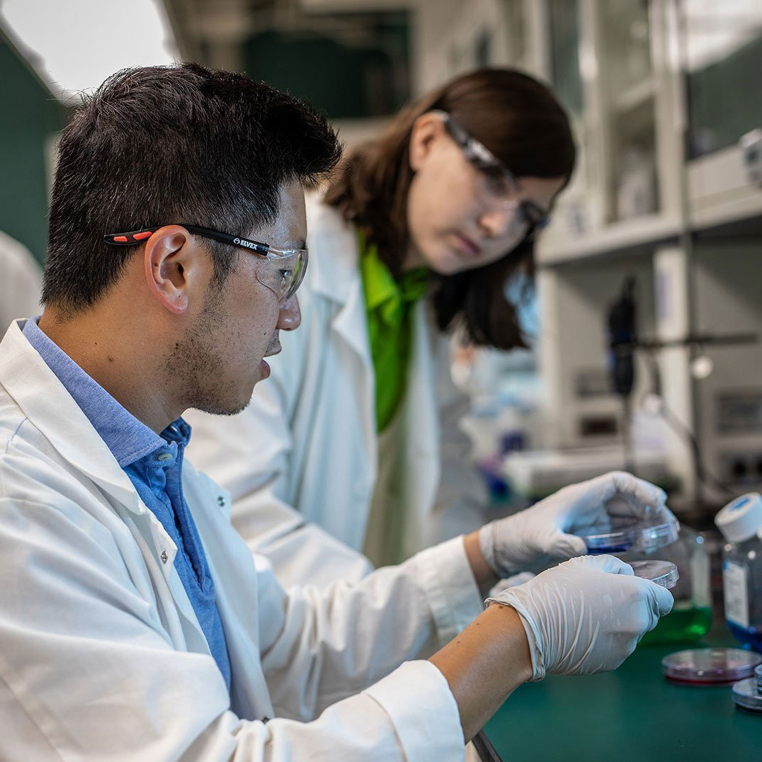 MSU students looking a petri dish in the labs
