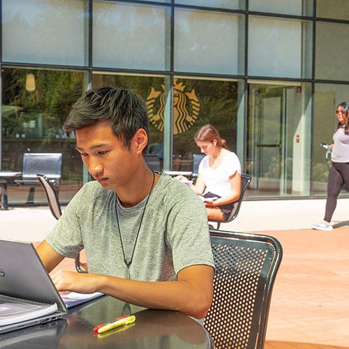 MSU Student sitting outside while working on their laptop
