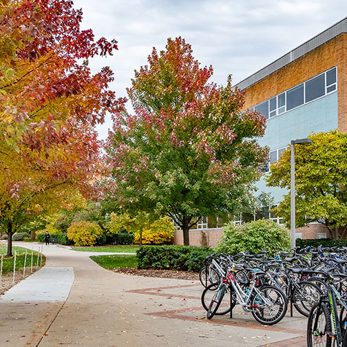Bike rack in front of the Engineering Building