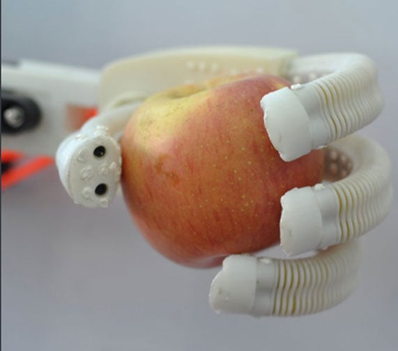 Robotics hand for apple harvesting