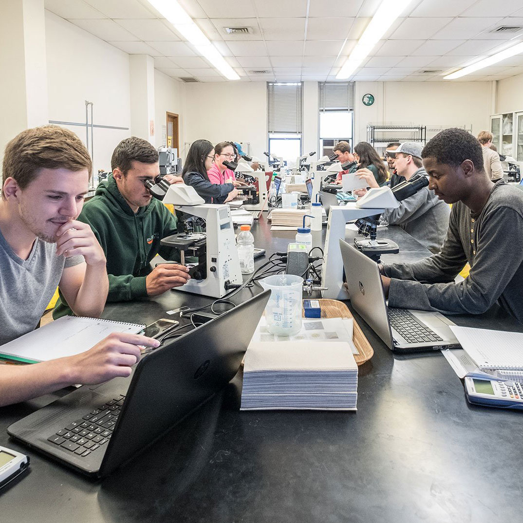Students studying in classroom
