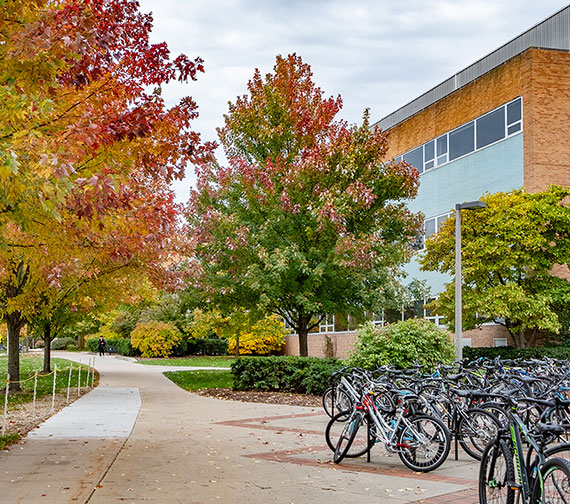 Outdoor path near the Engineering Building