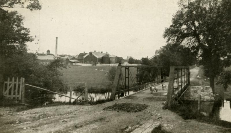 Black and White of the animals on Farm Lane 1909