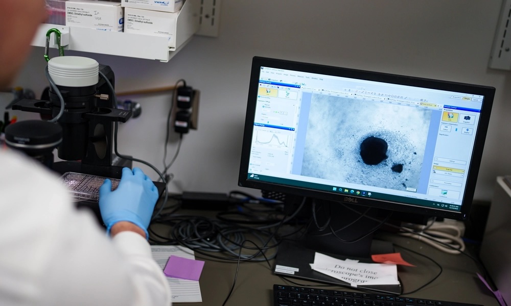 Individual imaging an immune cell