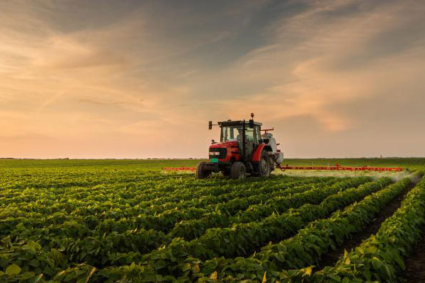 Tractor in field of crops