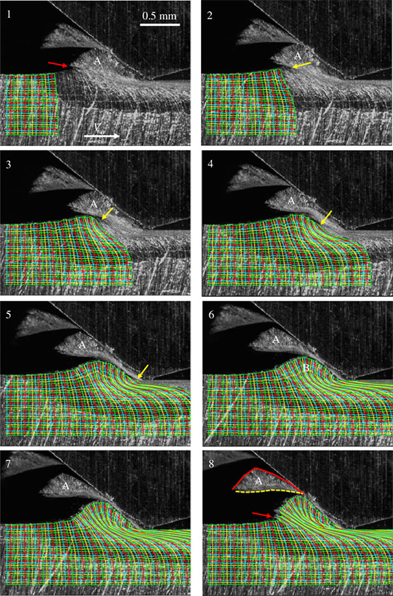 Image sequence showing particle formation by  prow detachment at periodic intervals
