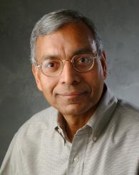 Professional Headshot of Anil Jain