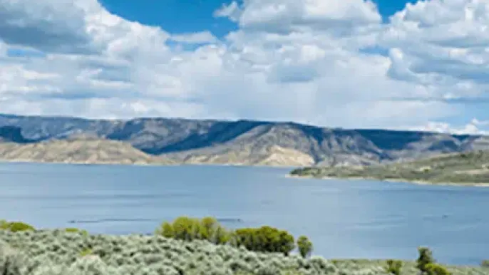 Yadu Pokhrel and Phanikumar Mantha are helping model water policies
