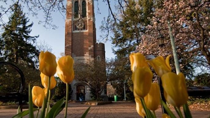 Students achieve 4.0 GPA