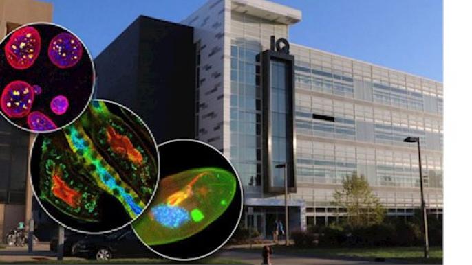 State-of-the-art imaging