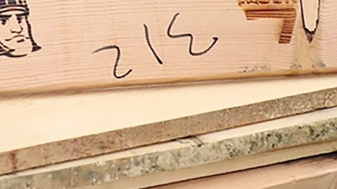 Researchers create self-healing timber infused with microbes