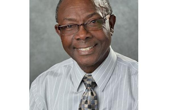 Interim Faculty Excellence Advocate