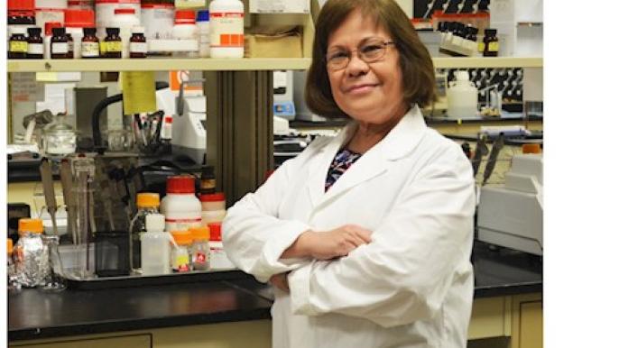 Evangelyn Alocilja advances rapid biosensing diagnostics
