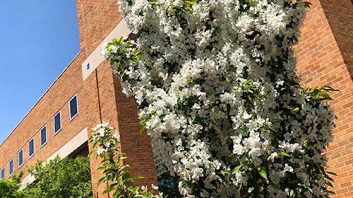 Two New NSF Fellows
