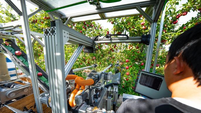 Apple of my AI: MSU’s improved robotic apple picker 