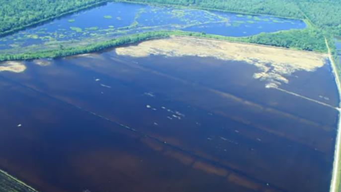 Sustainability factors of whether 'To Irrigate or Not'