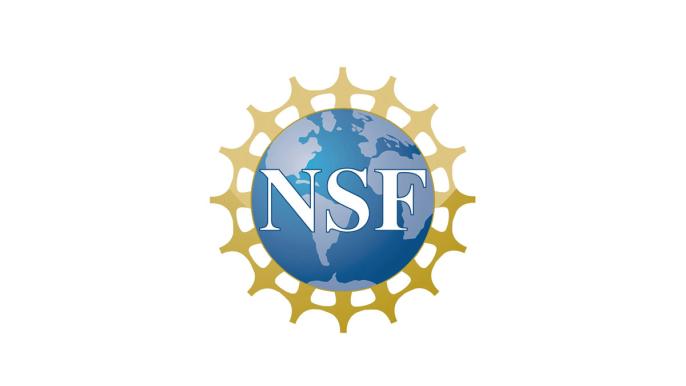 12 MSU students, alumni named NSF Graduate Research Fellows